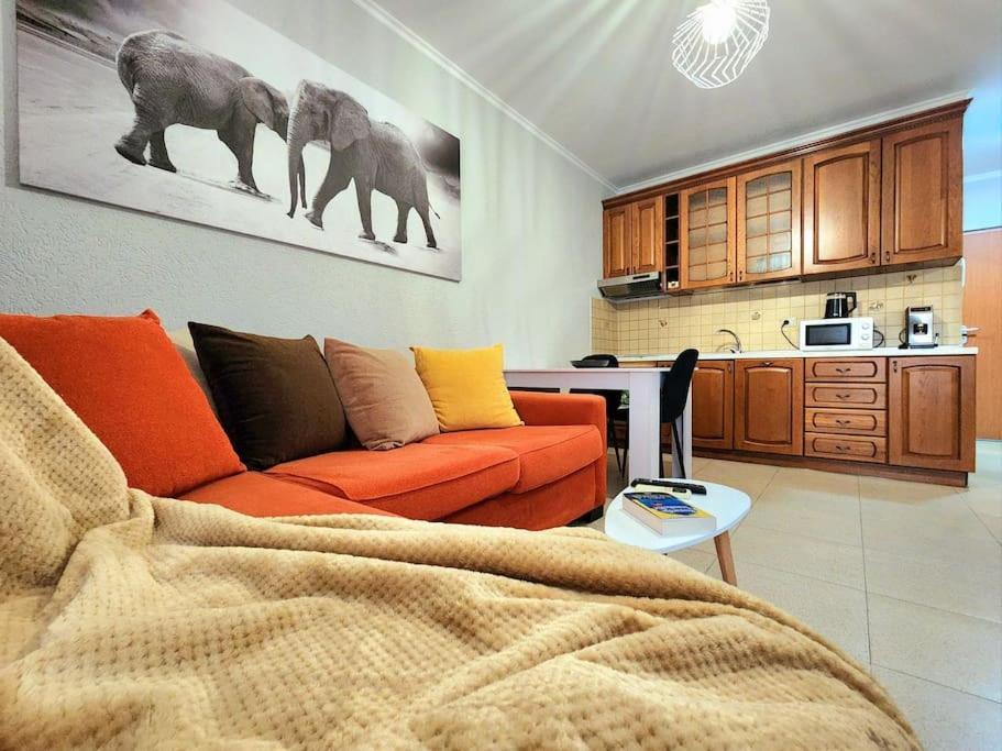 Apartamento One Bd Flat Near Center With 24H Self Check In Tirana Exterior foto